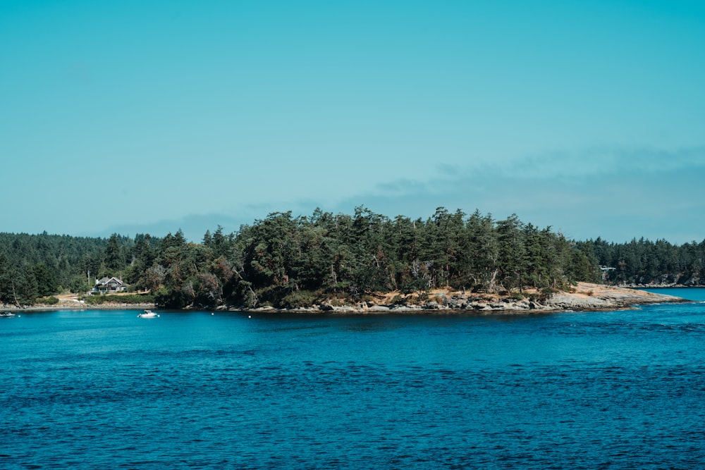 green trees on island during daytime