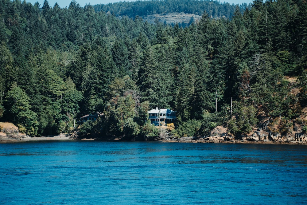 white and blue house near green trees and body of water during daytime