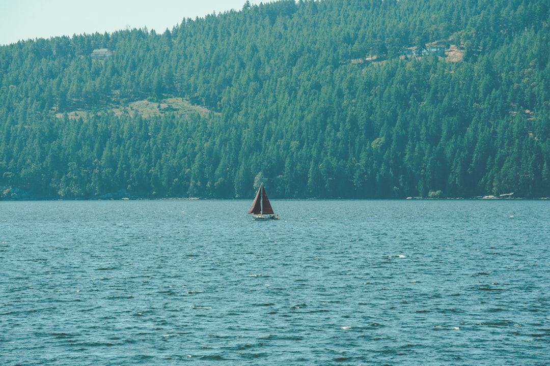 sailboat on sea near green trees during daytime