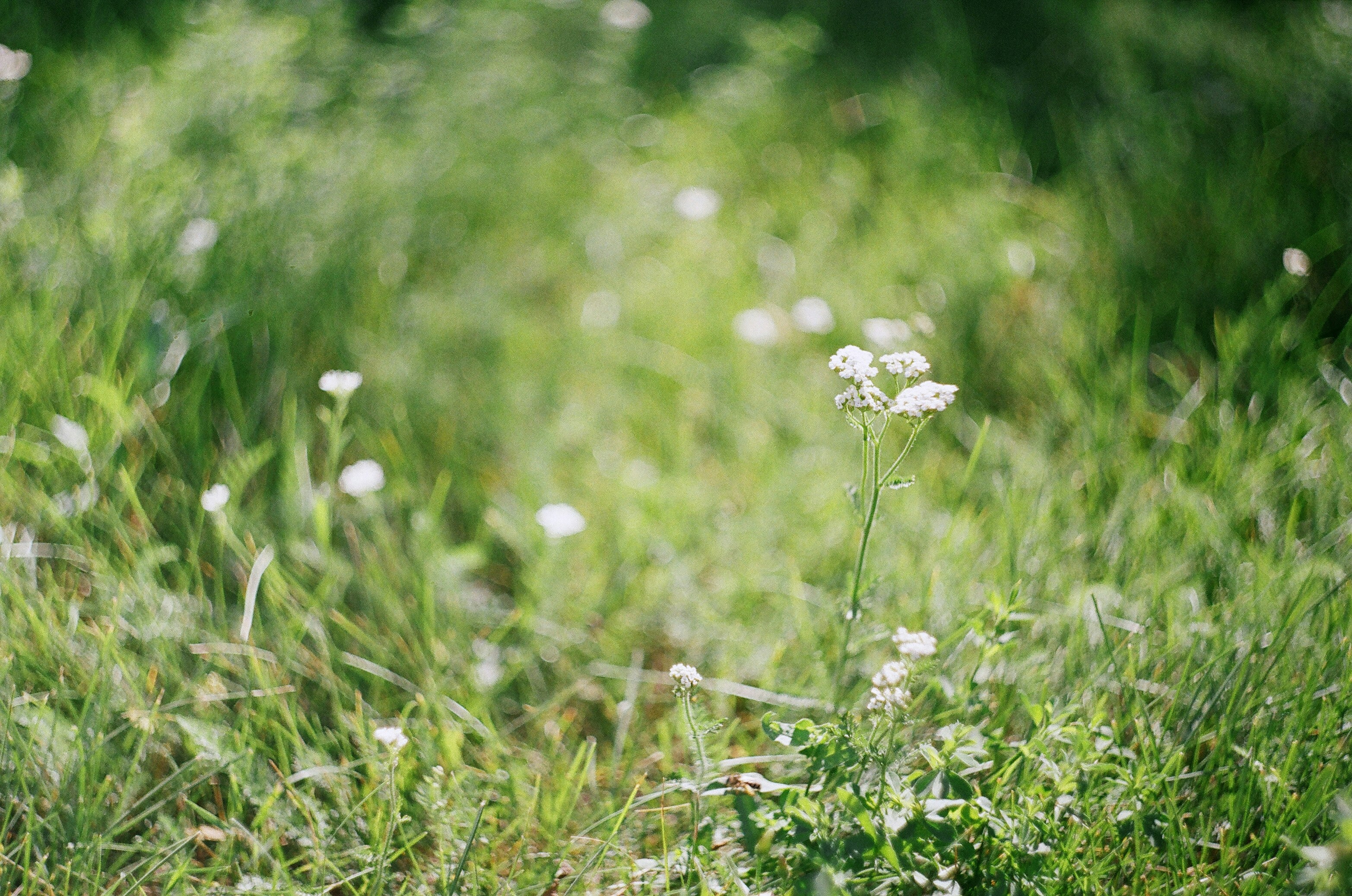 Photo by olgaanoshkina