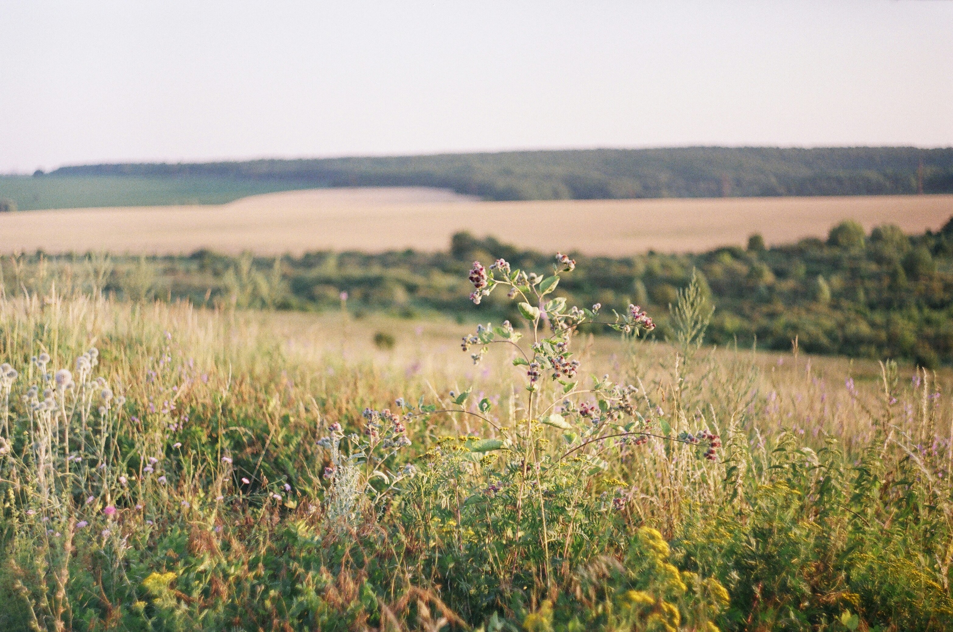 Photo by olgaanoshkina