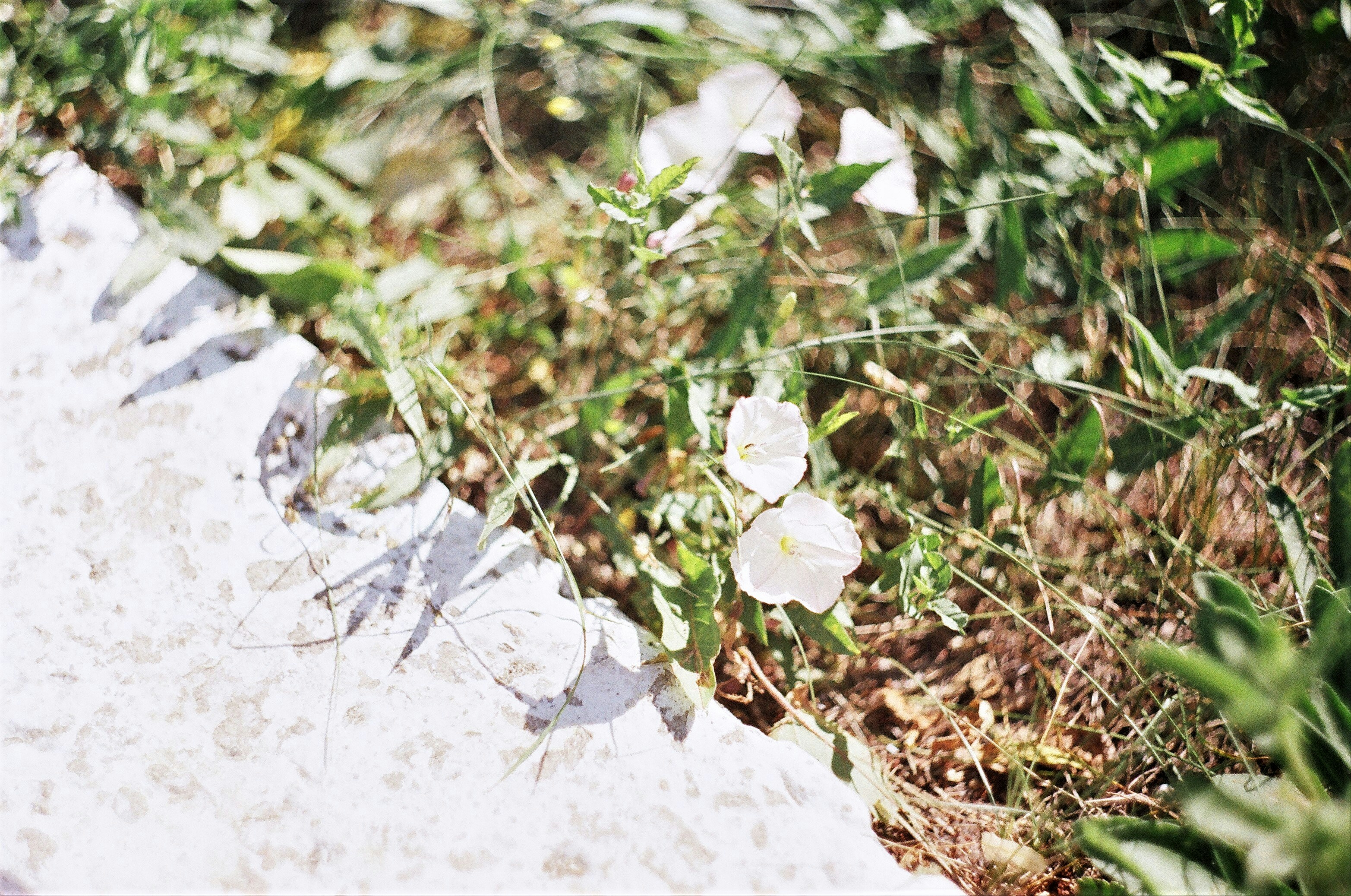 Photo by olgaanoshkina