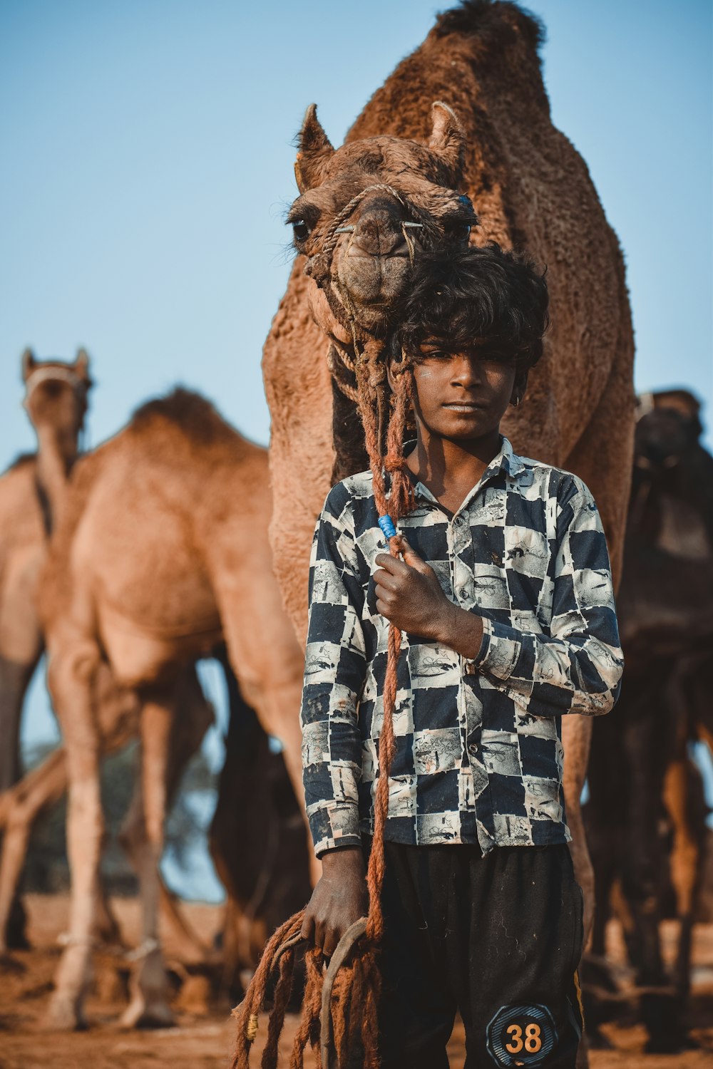 man in blue white and black plaid button up shirt standing beside brown camel during daytime