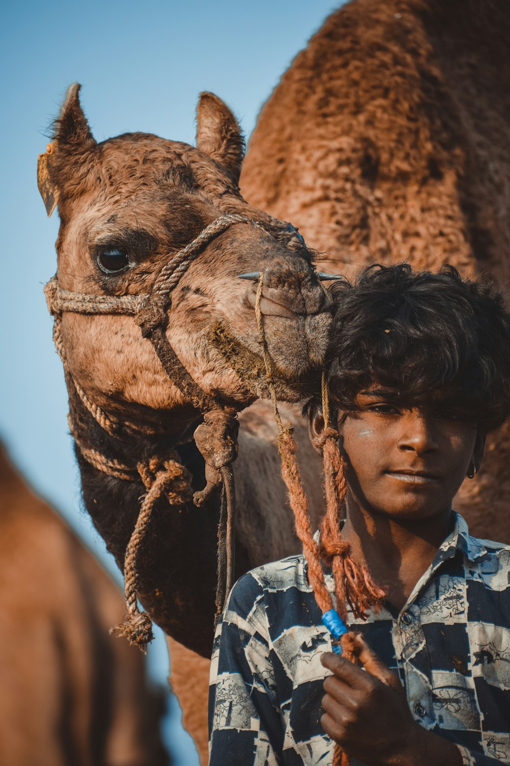 boy in blue and white plaid shirt standing beside brown camel during daytime