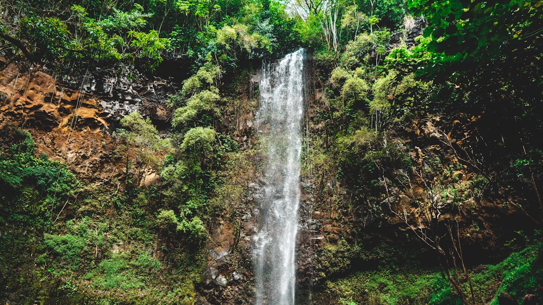 waterfalls in the middle of the forest