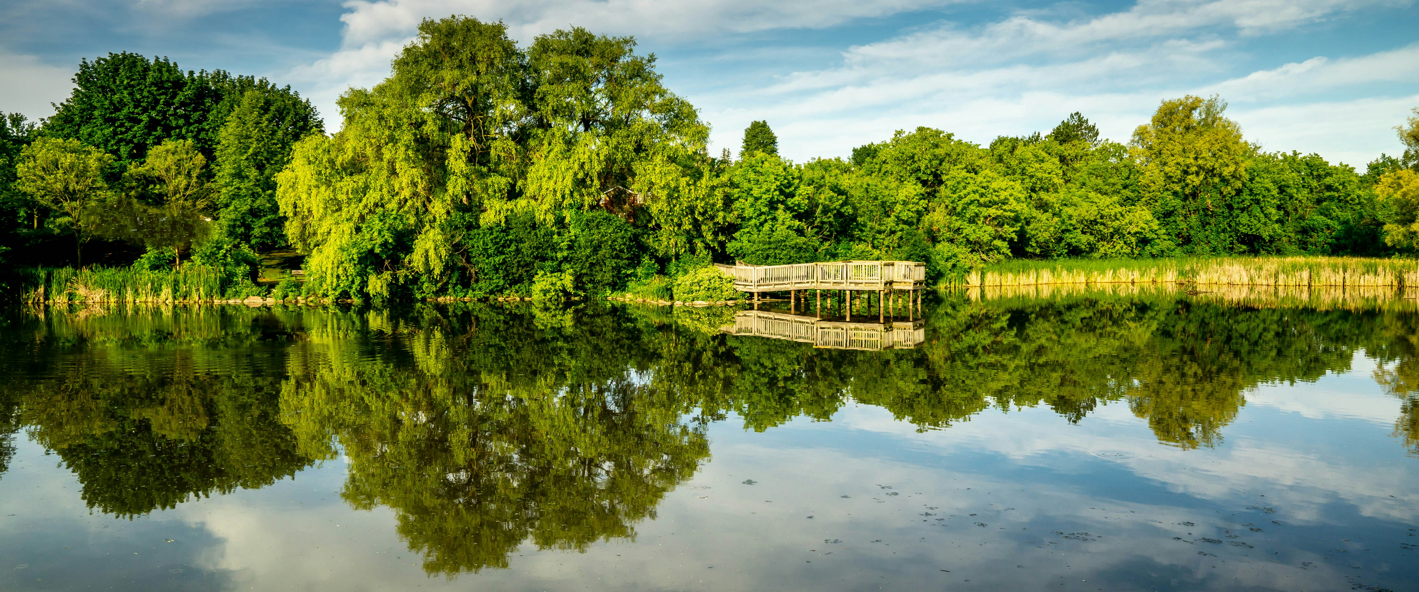 Photo by picturecove