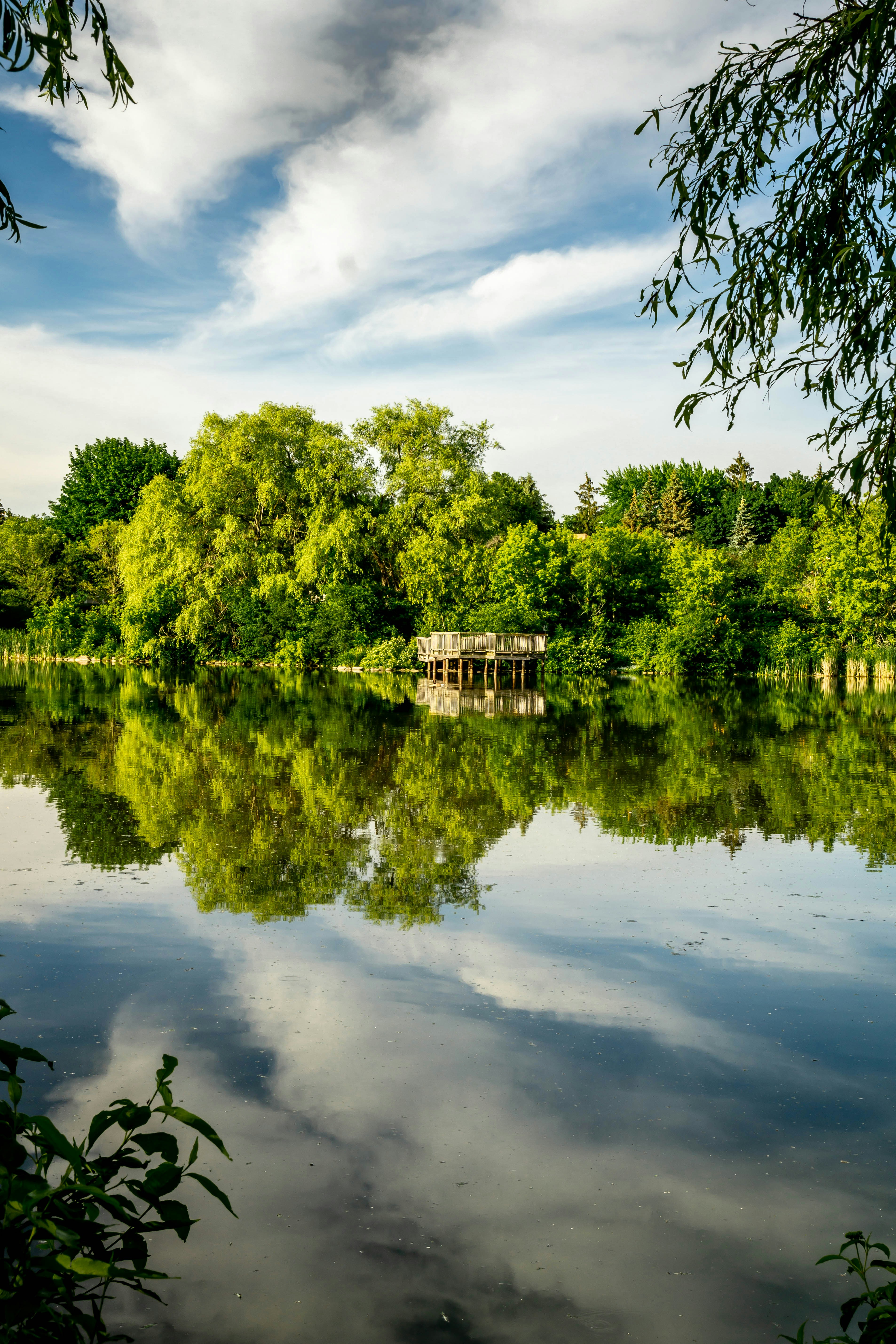 Photo by picturecove