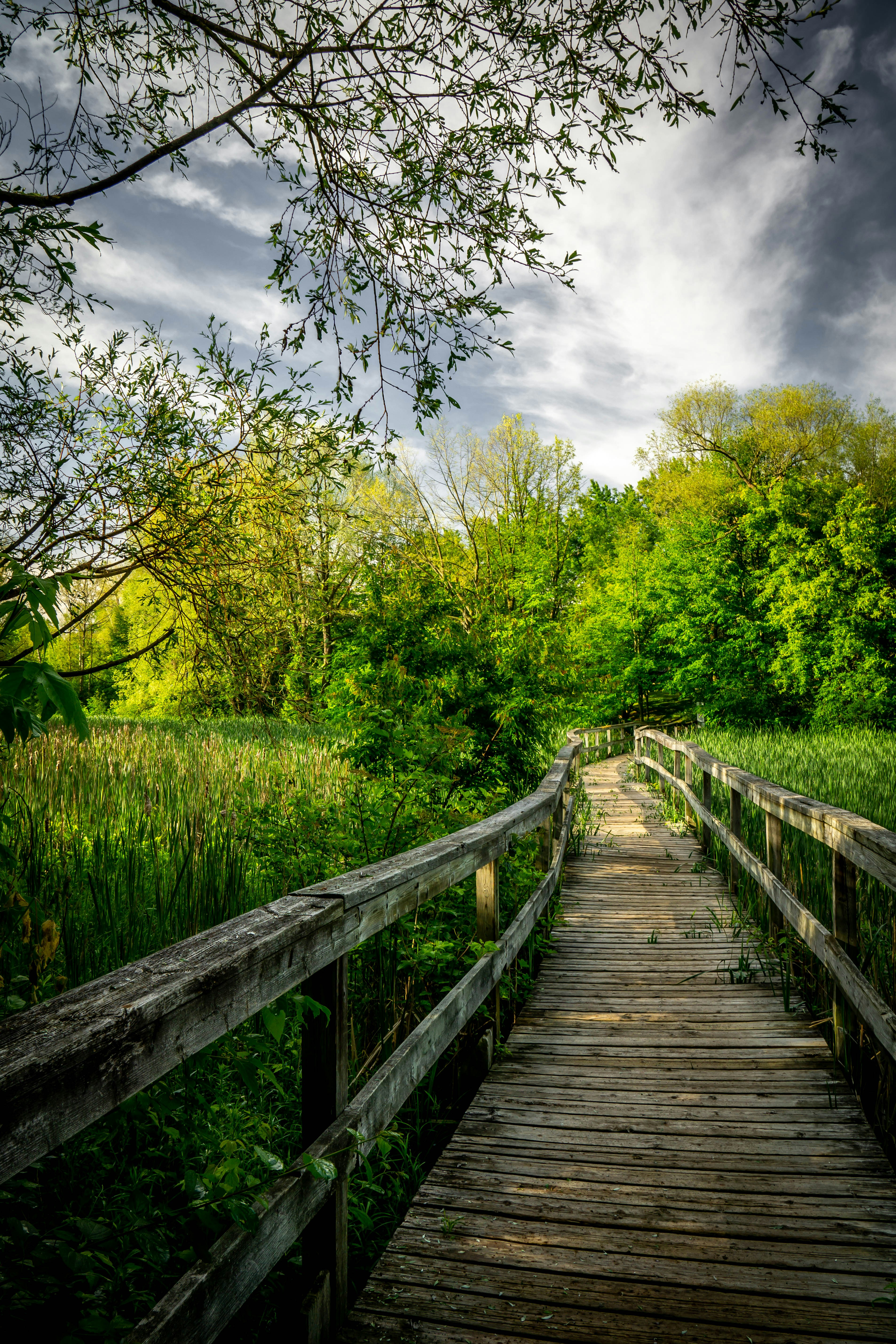 Photo by picturecove