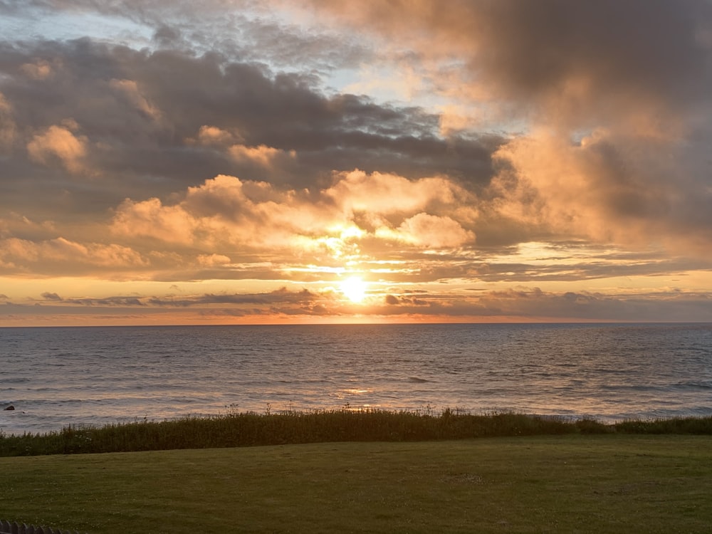 green grass field near body of water during sunset