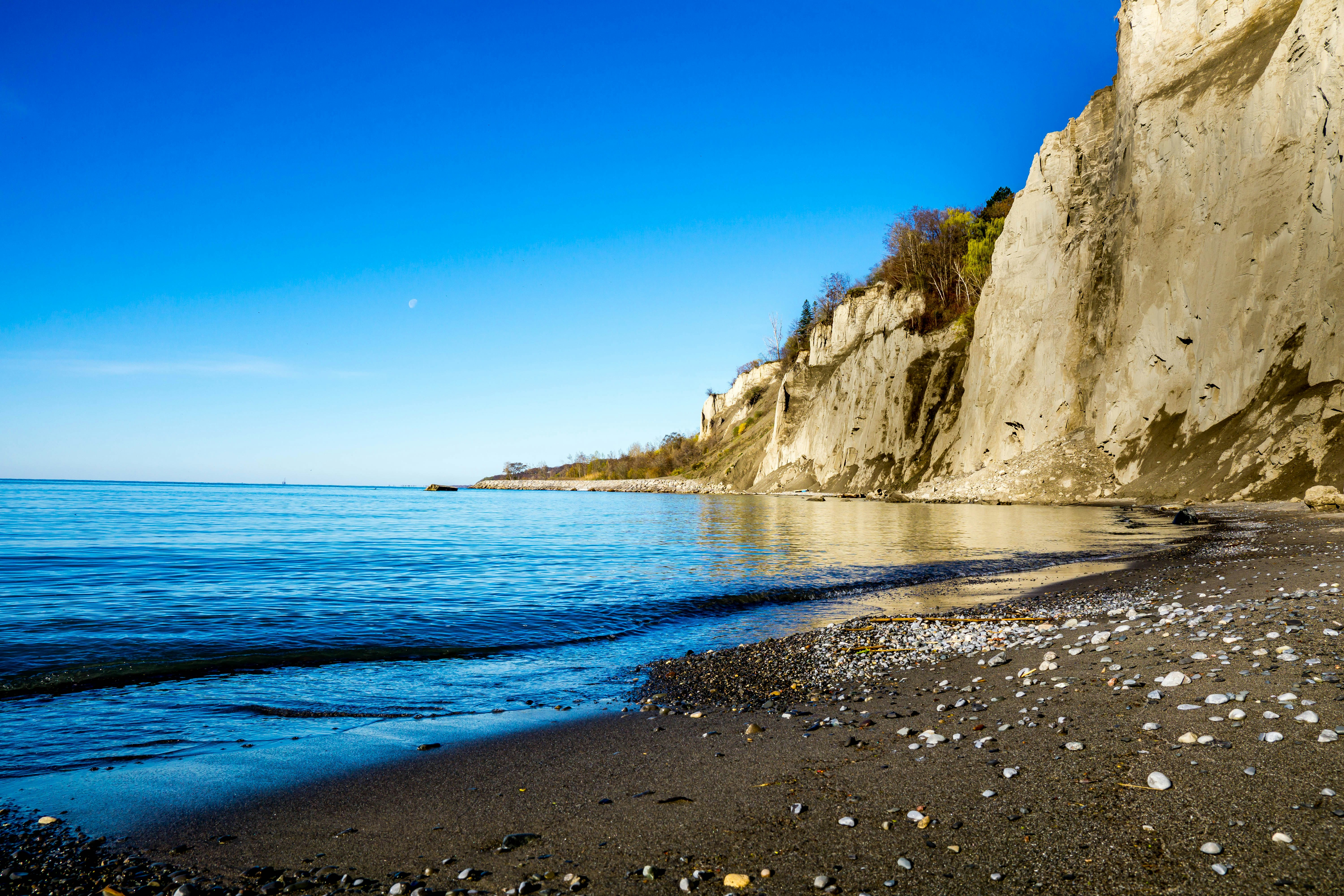 Photo by picturecove