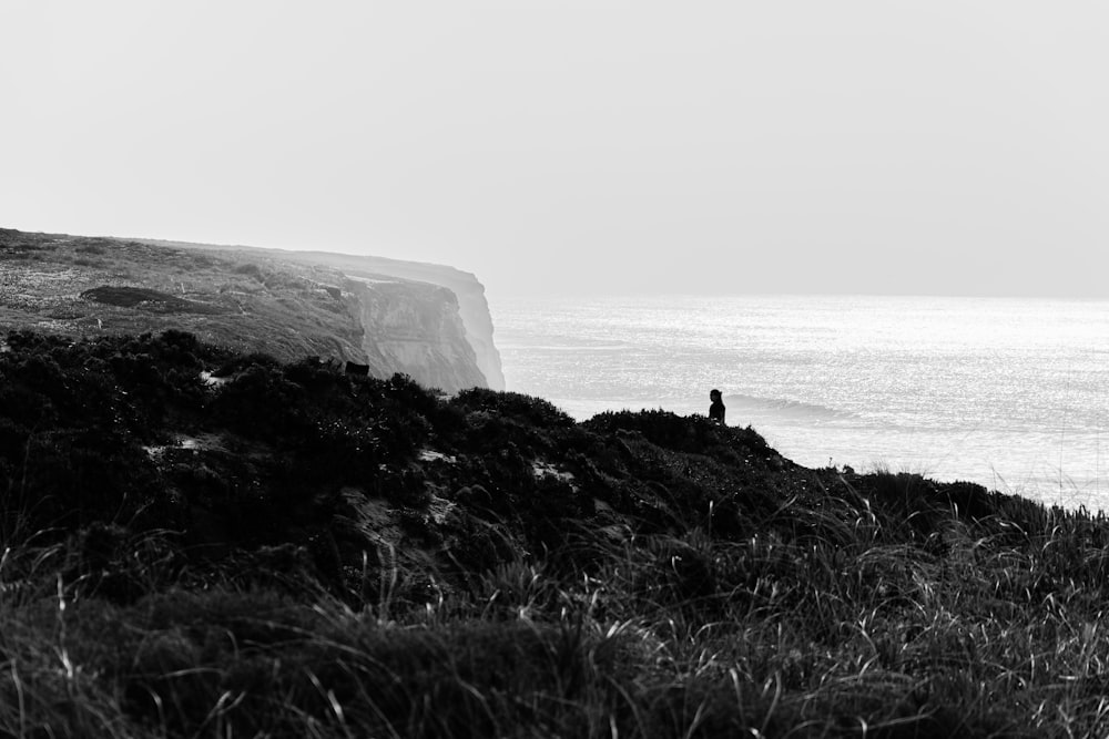 grayscale photo of person standing on rock formation near body of water