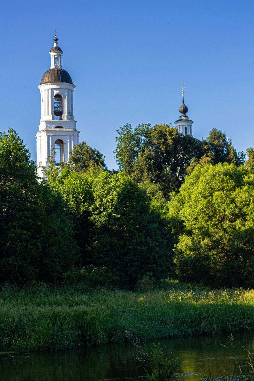 white concrete building near green trees under blue sky during daytime