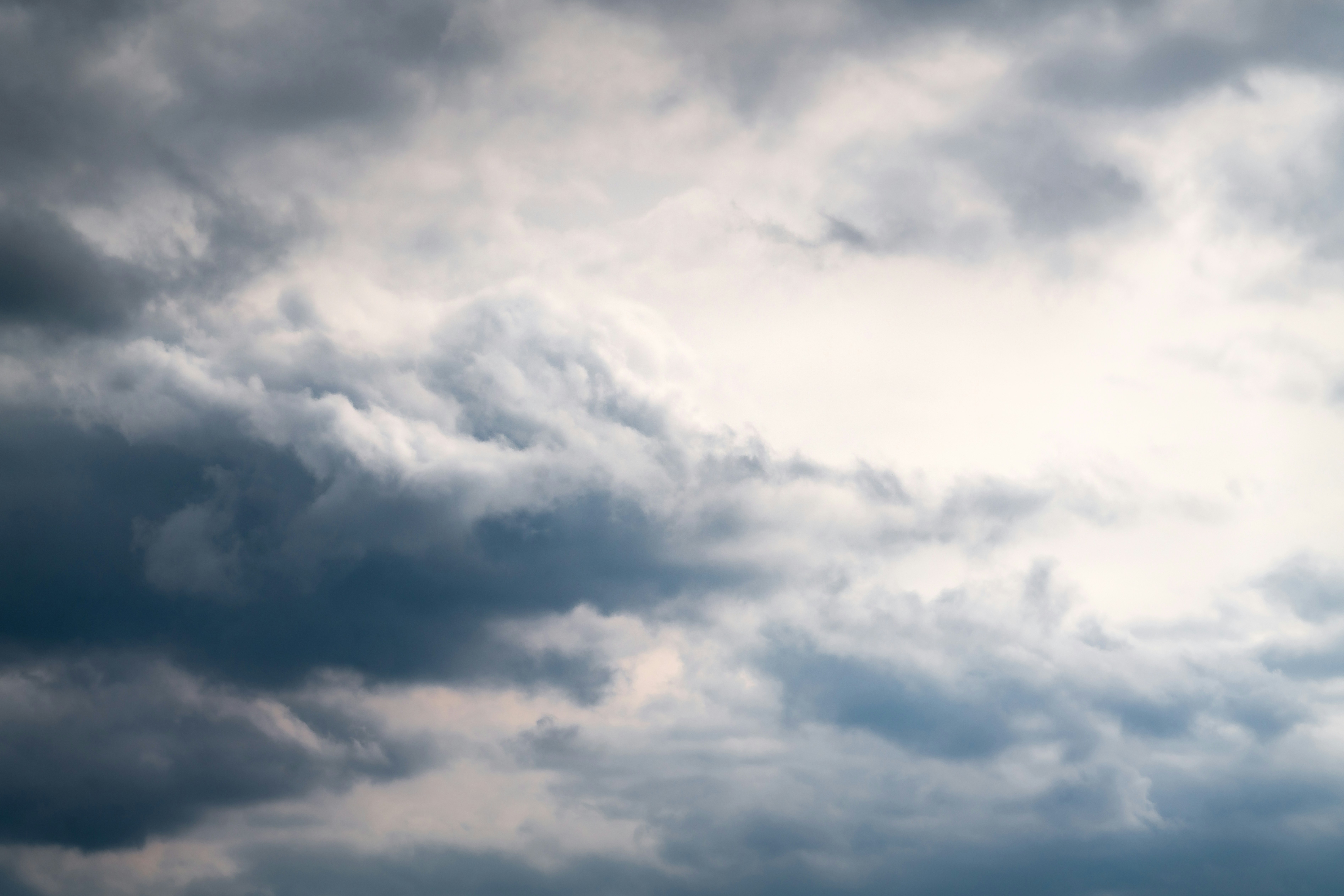 Photo by danielsessler