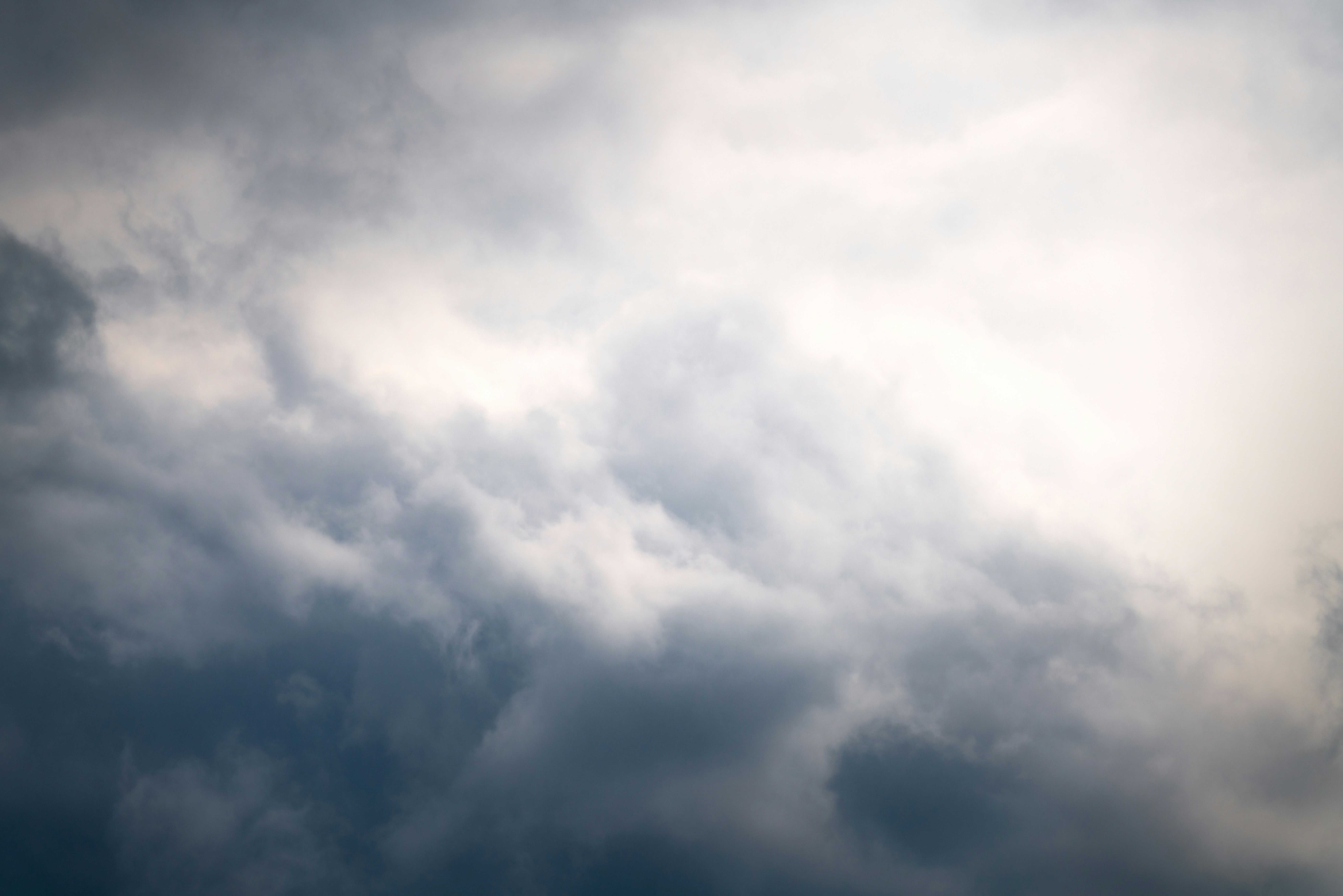 Photo by danielsessler