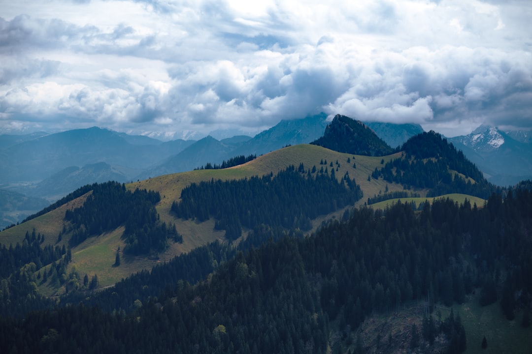 green trees on mountain under white clouds during daytime