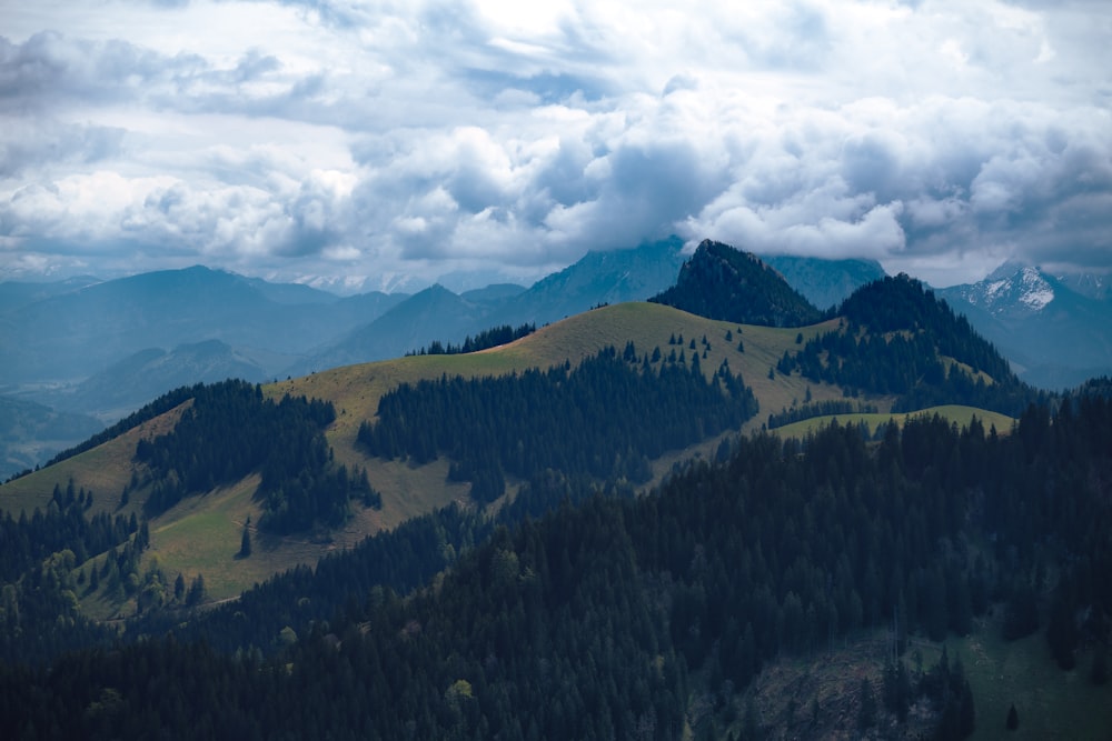 green trees on mountain under white clouds during daytime