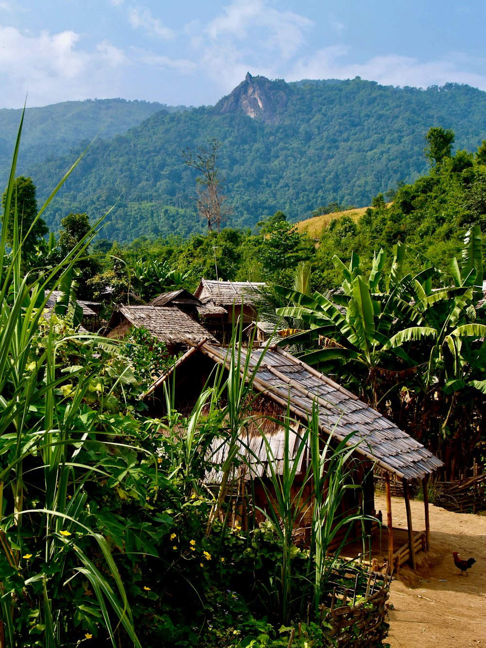 brown wooden house on green grass field during daytime