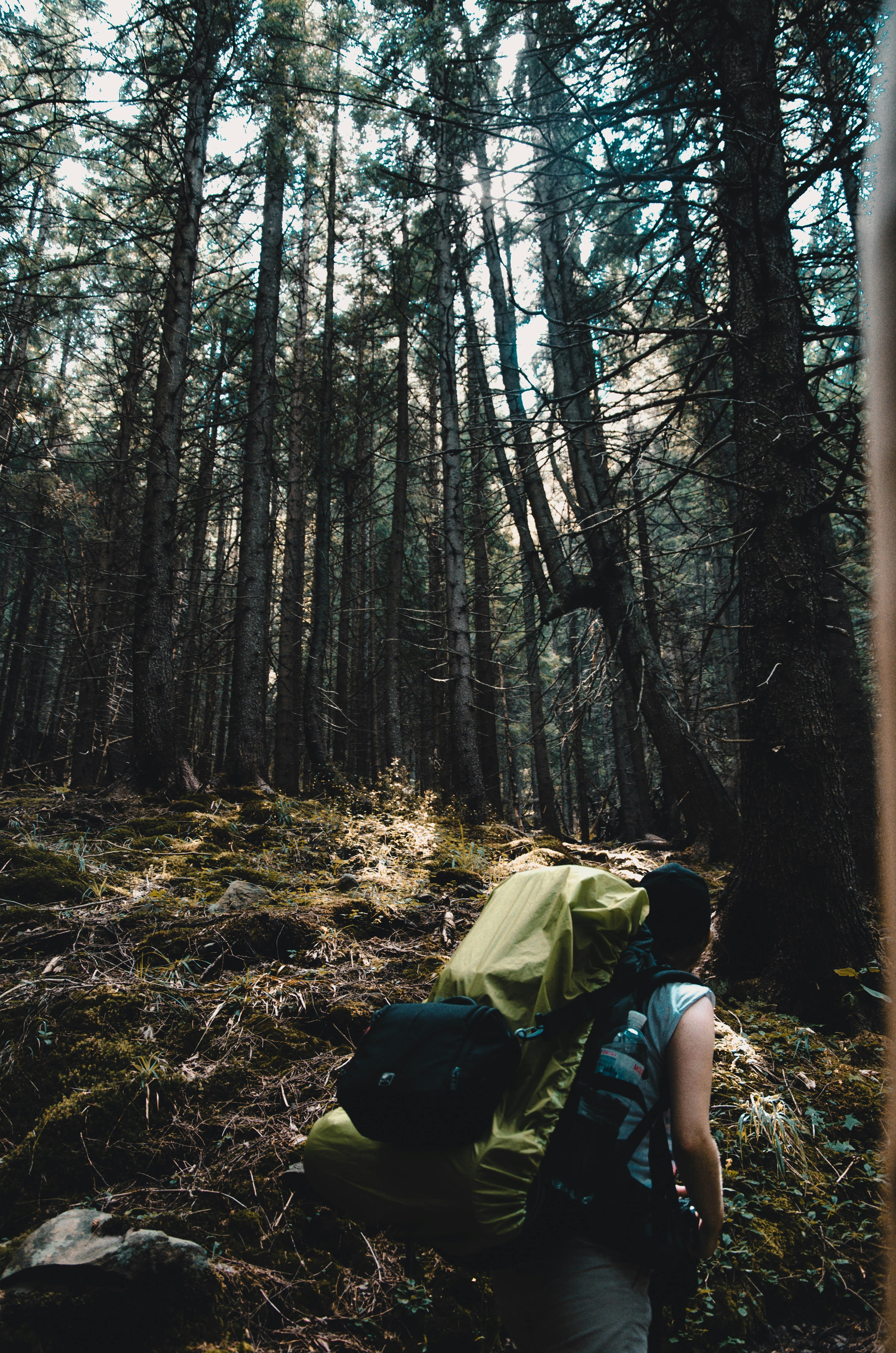 Photo by bullettrainnnnn