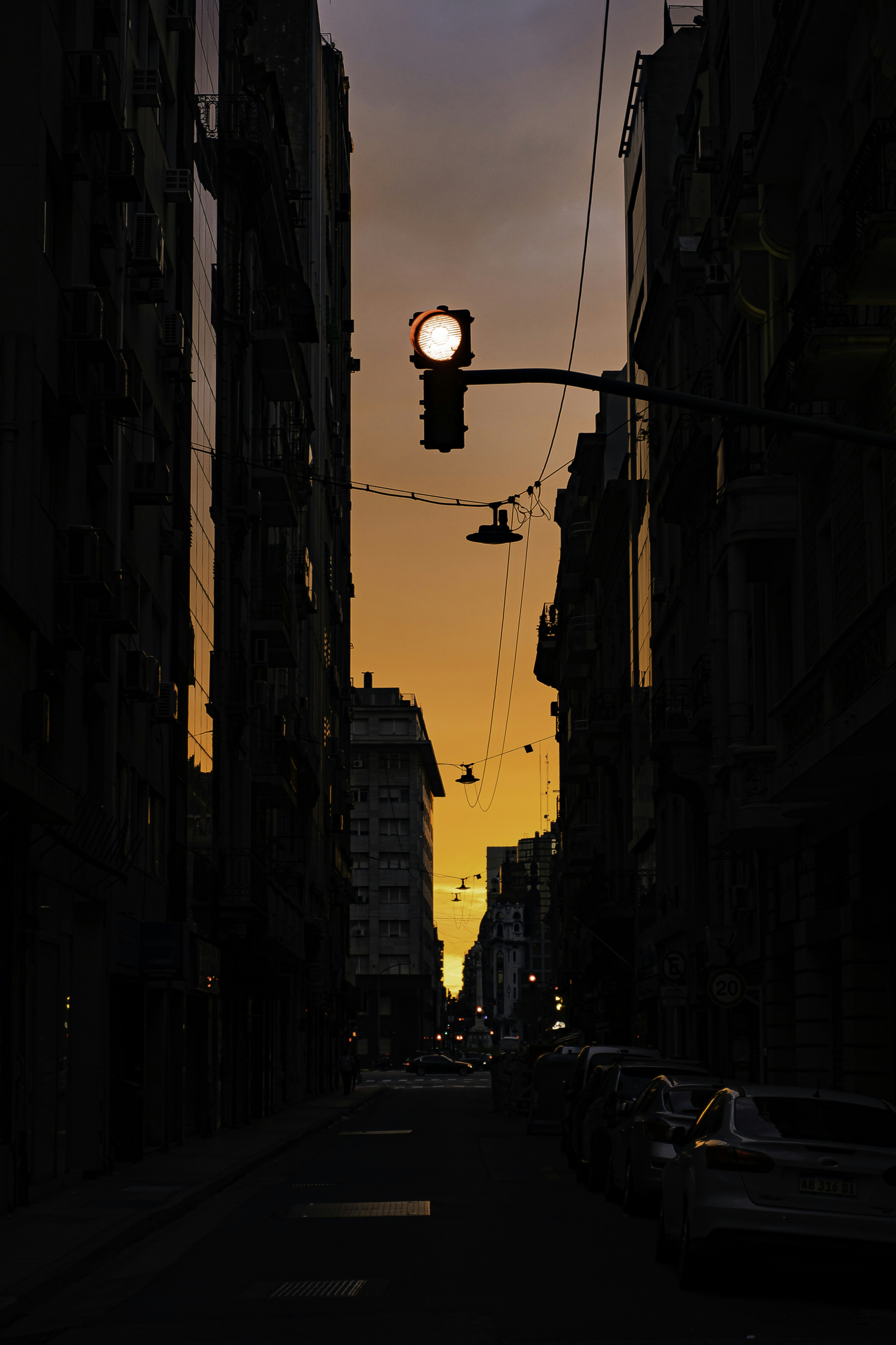 Photo by tobiseijo