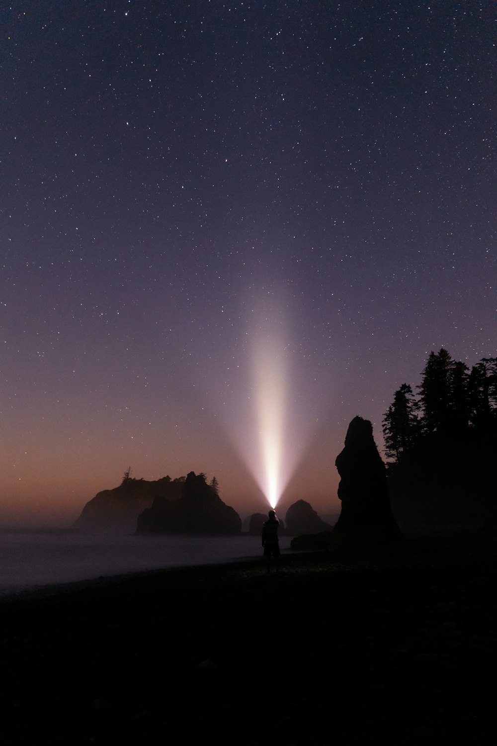 silhouette of people standing on seashore during night time