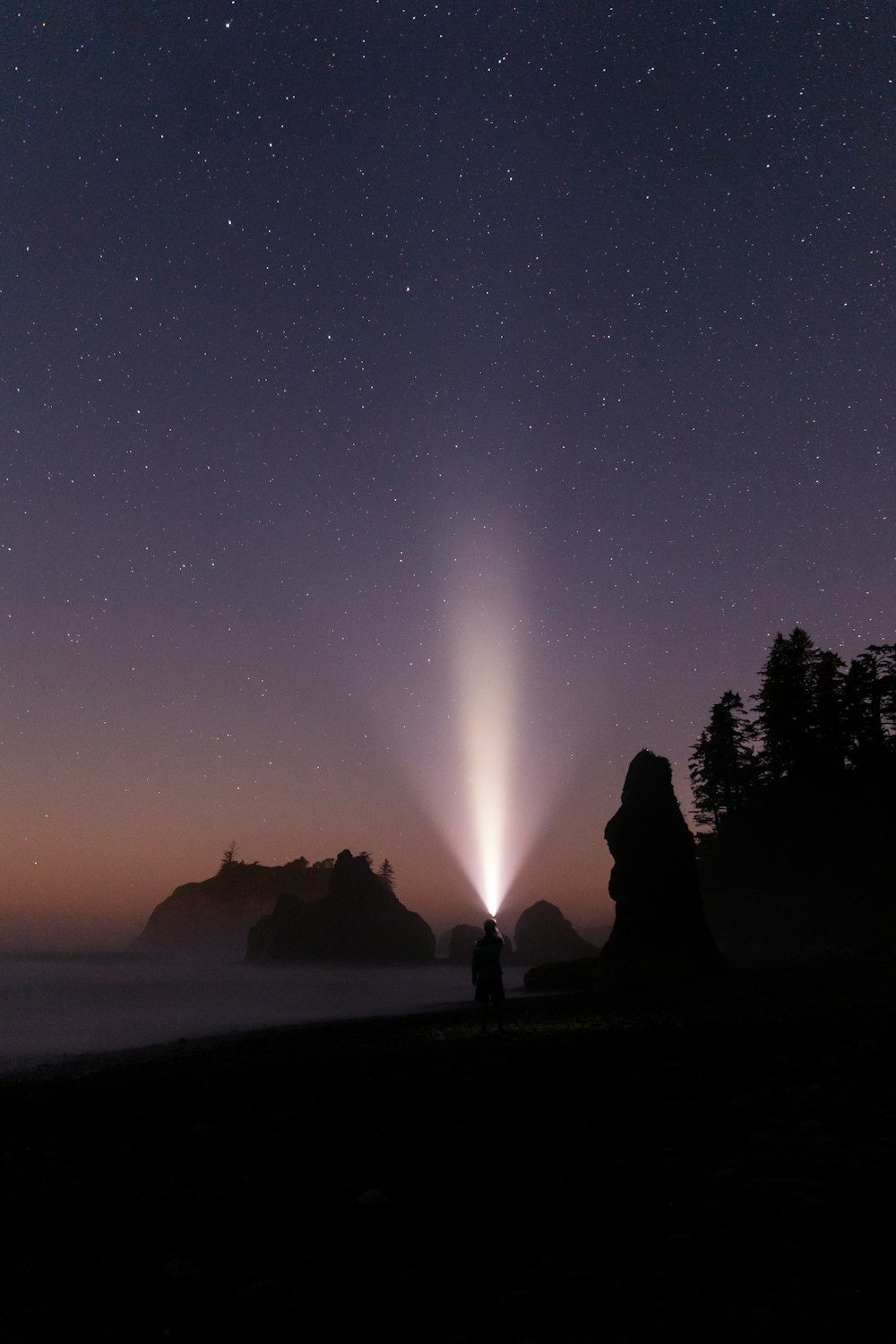 silhouette di persone in piedi sulla riva del mare durante la notte
