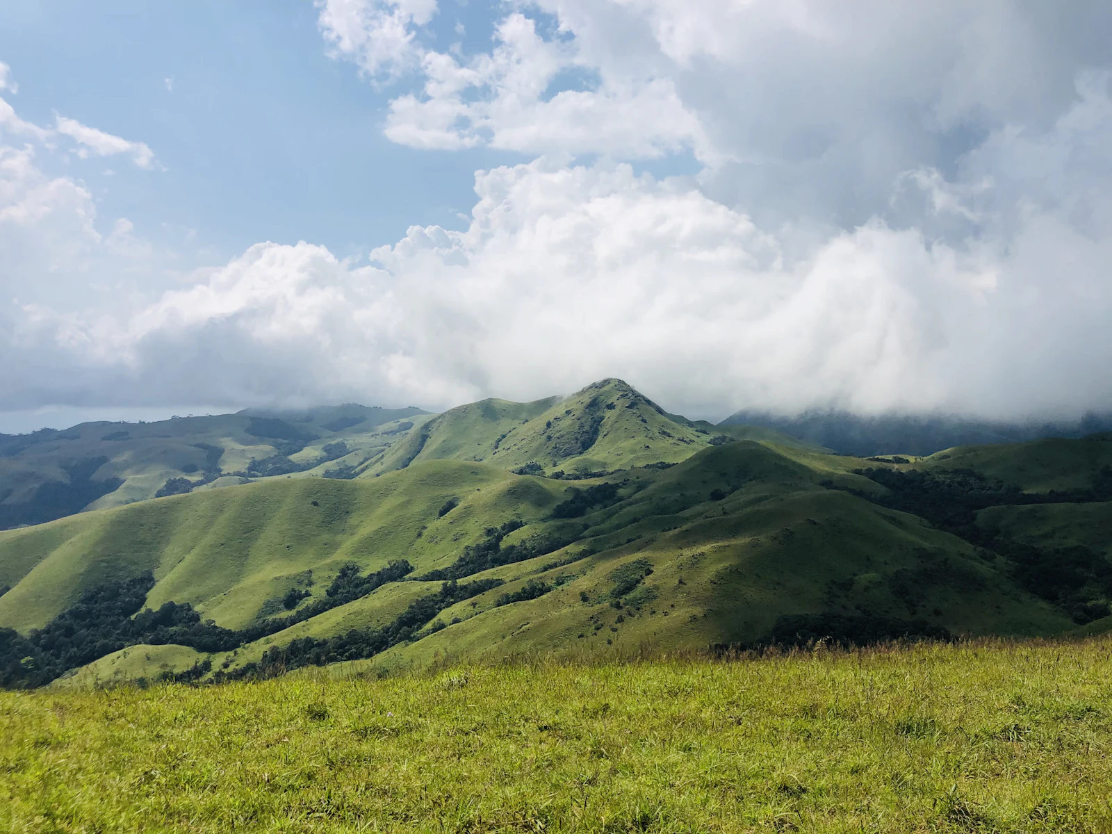 Green hills under white clouds near Sakleshpur