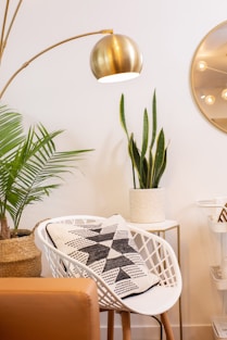 green plant on white table