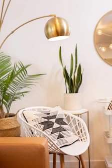 green plant on white table