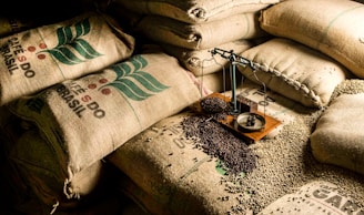 exportadora de cafés especiais