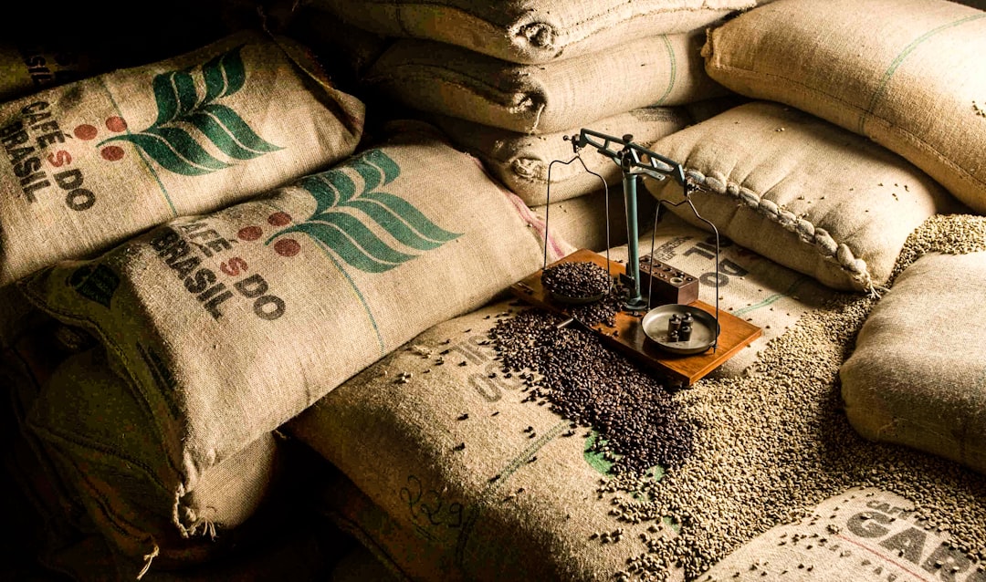 咖啡豆怎麼變成咖啡？咖啡豆的製作過程大公開