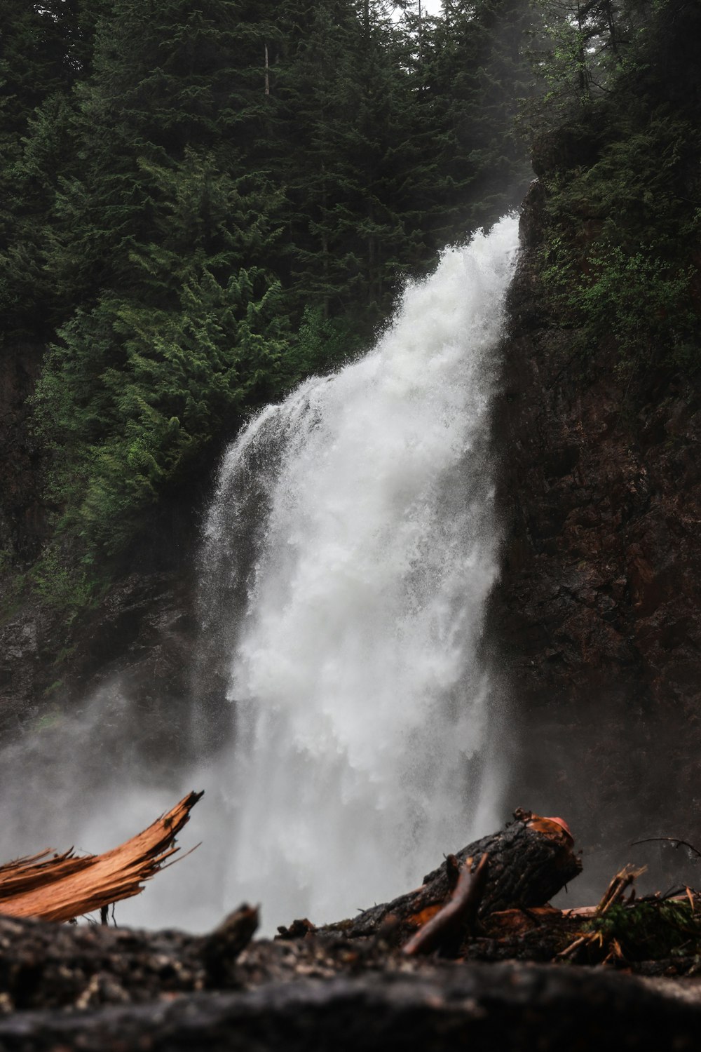 brown tree log on waterfalls