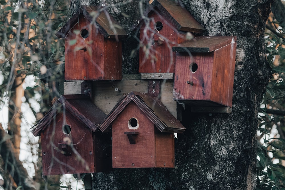 brown wooden bird house on black and white surface