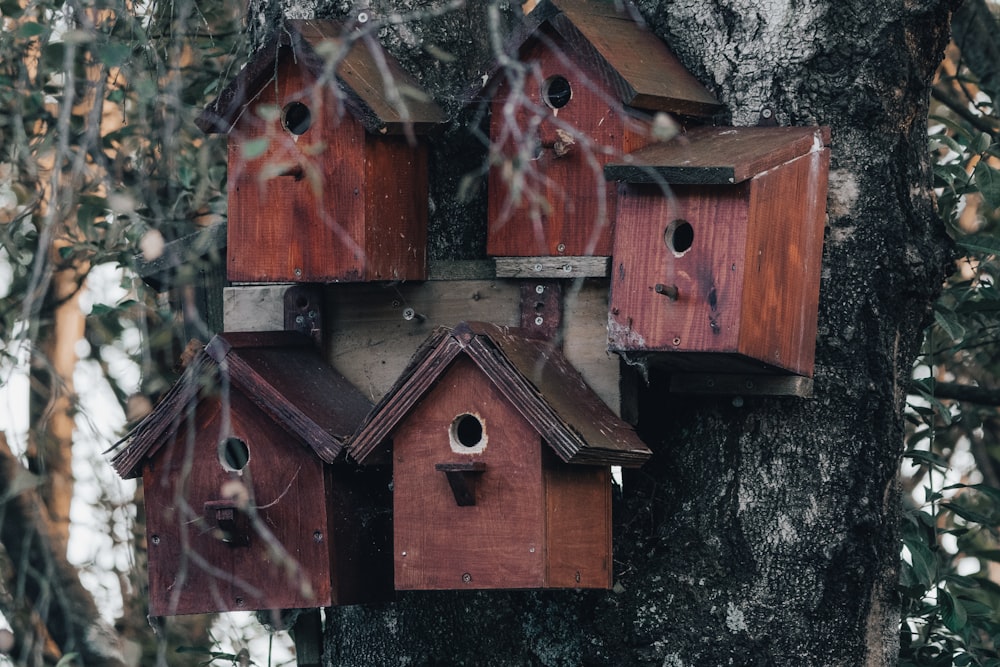 Braunes Vogelhaus aus Holz auf schwarz-weißer Fläche