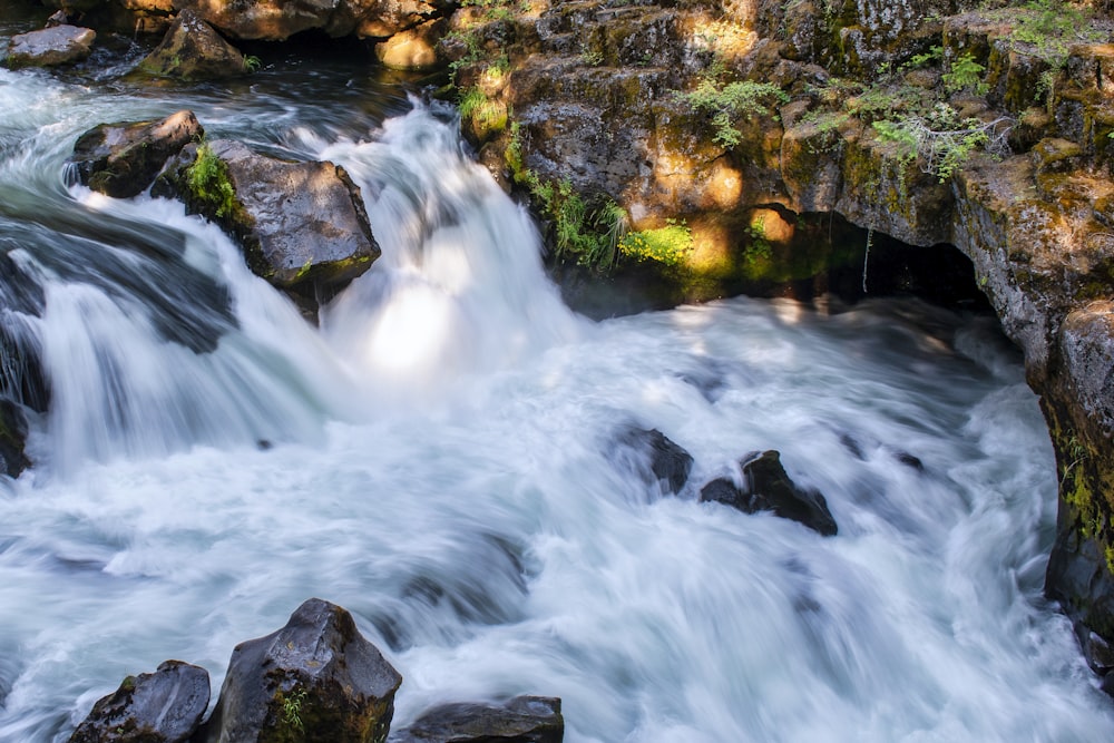 water falls in the middle of the forest