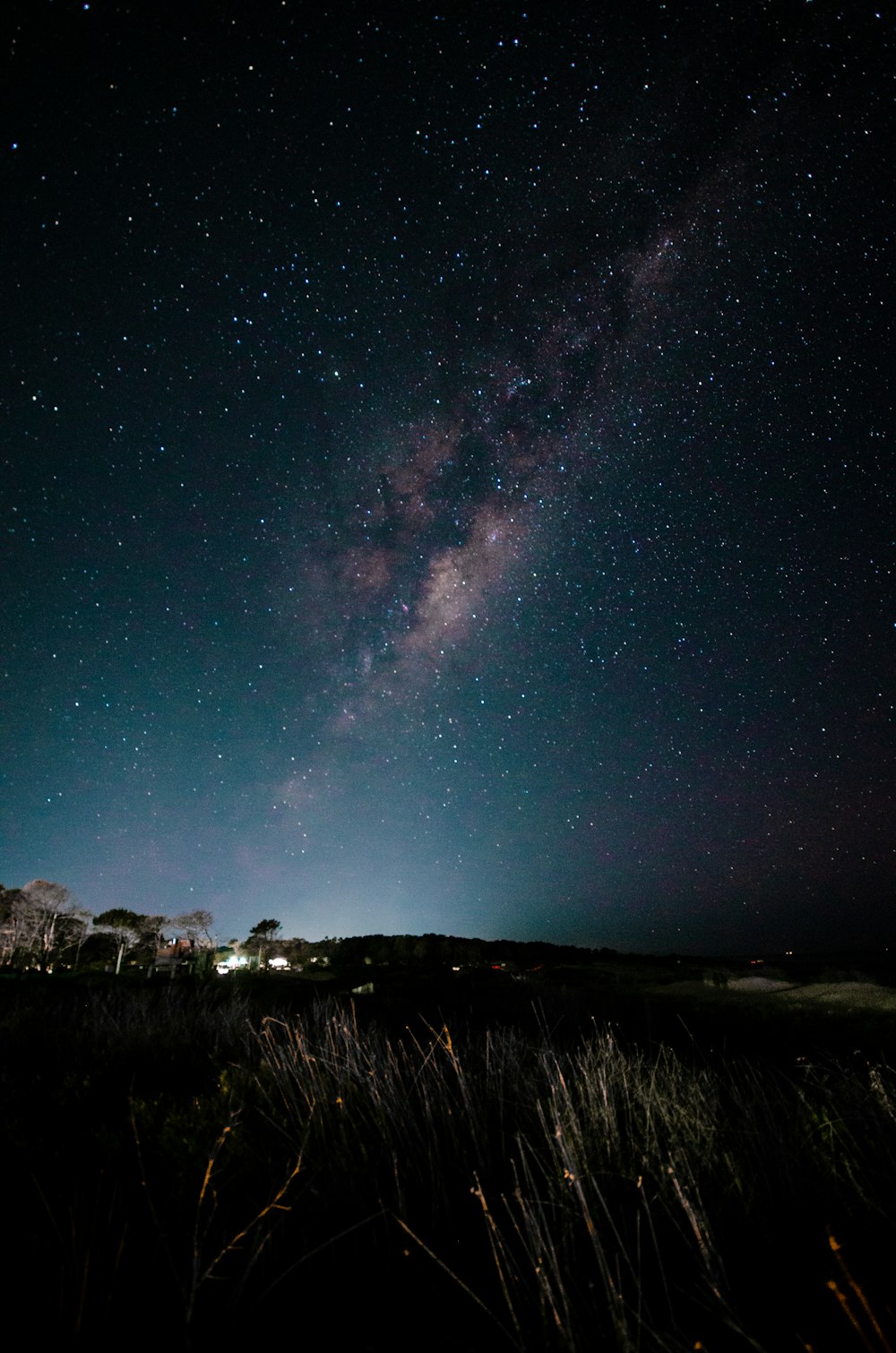 Hierba verde bajo el cielo azul durante la noche