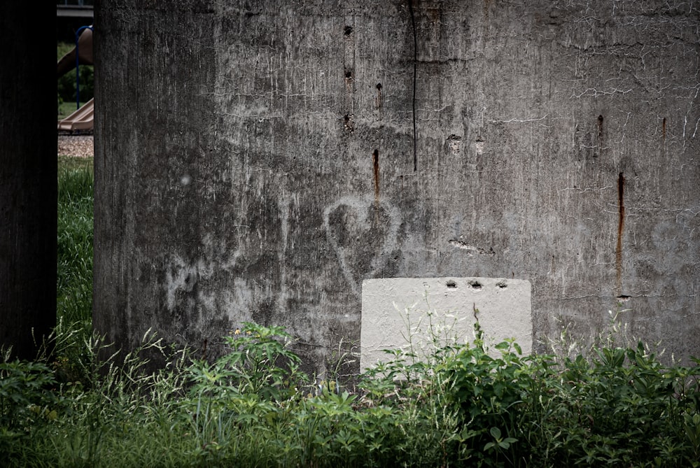 white concrete brick on green grass