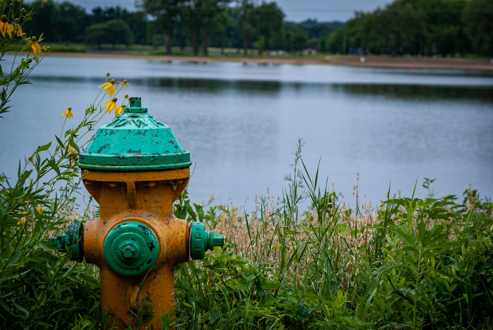green and brown water pump