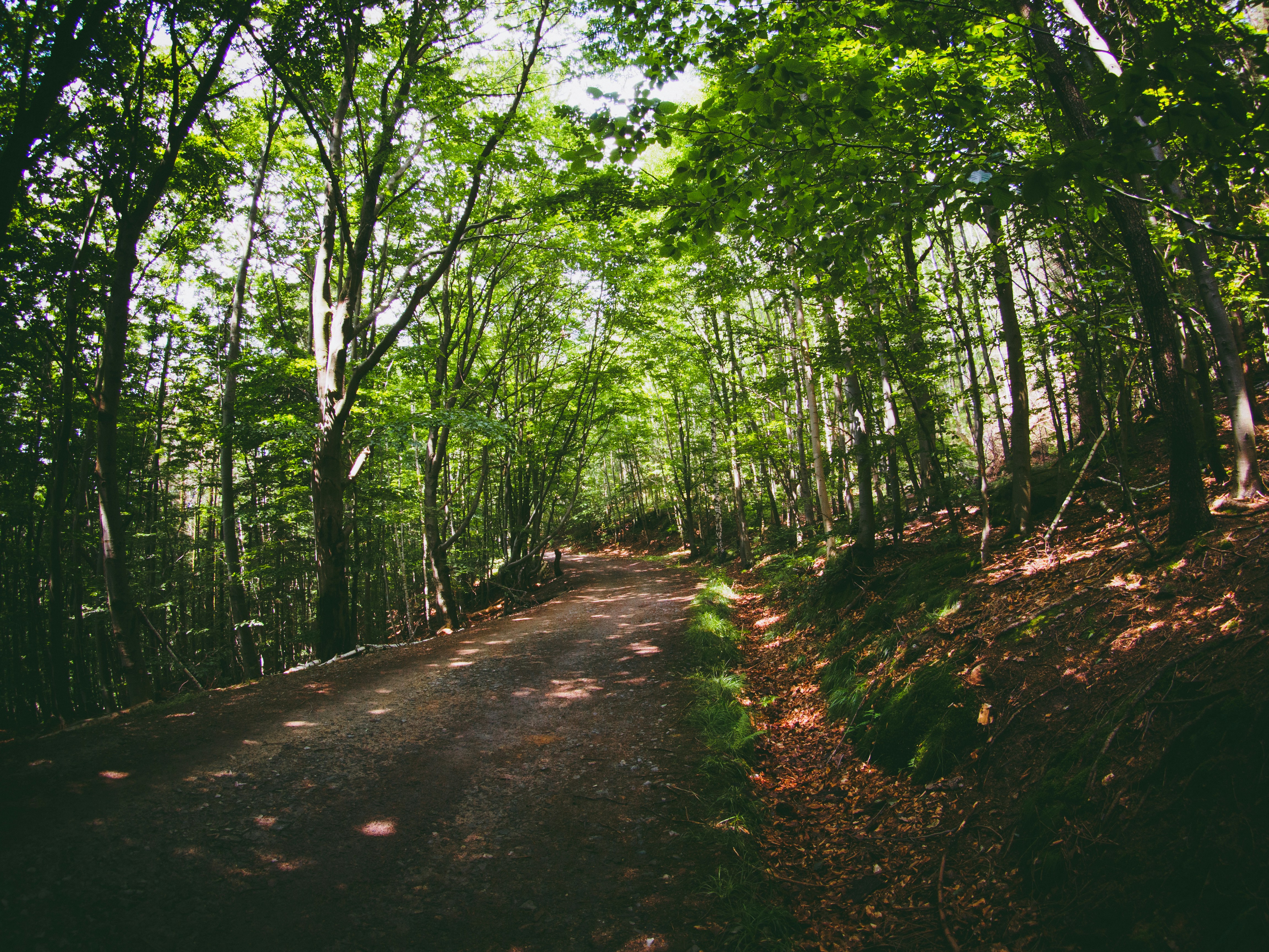 Check the State of the Roads
