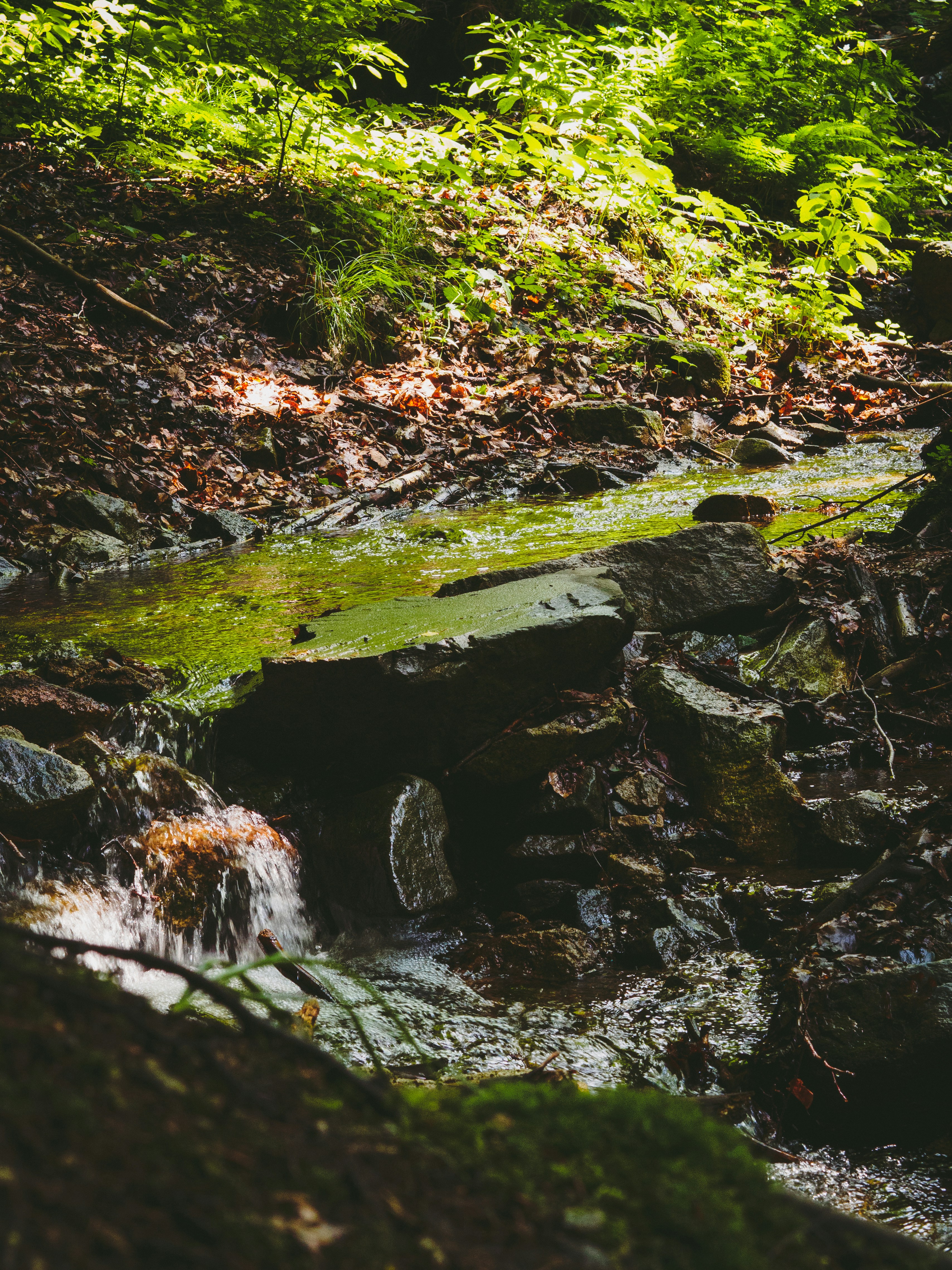 Photo by christiankrebel