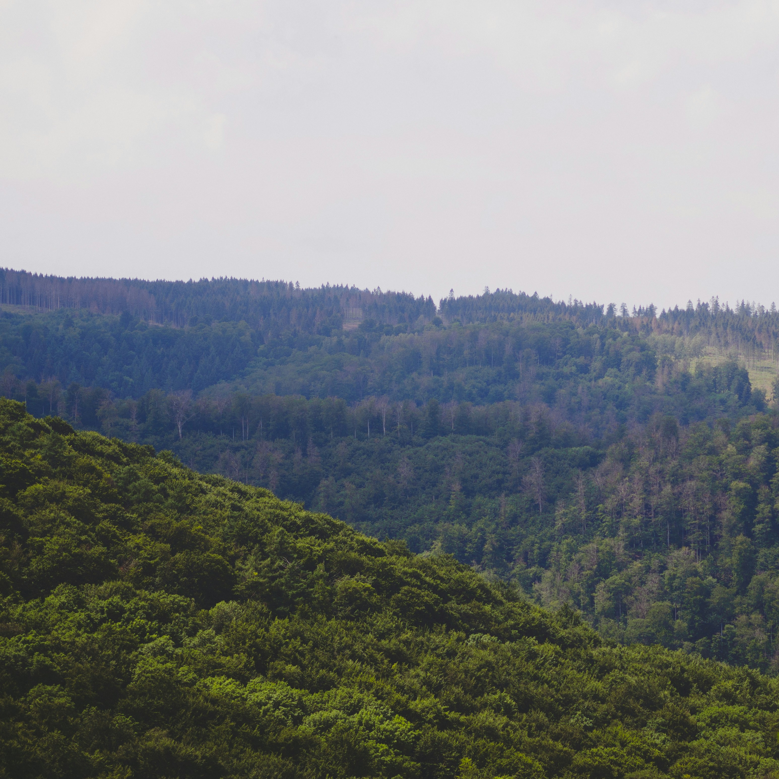 Photo by christiankrebel