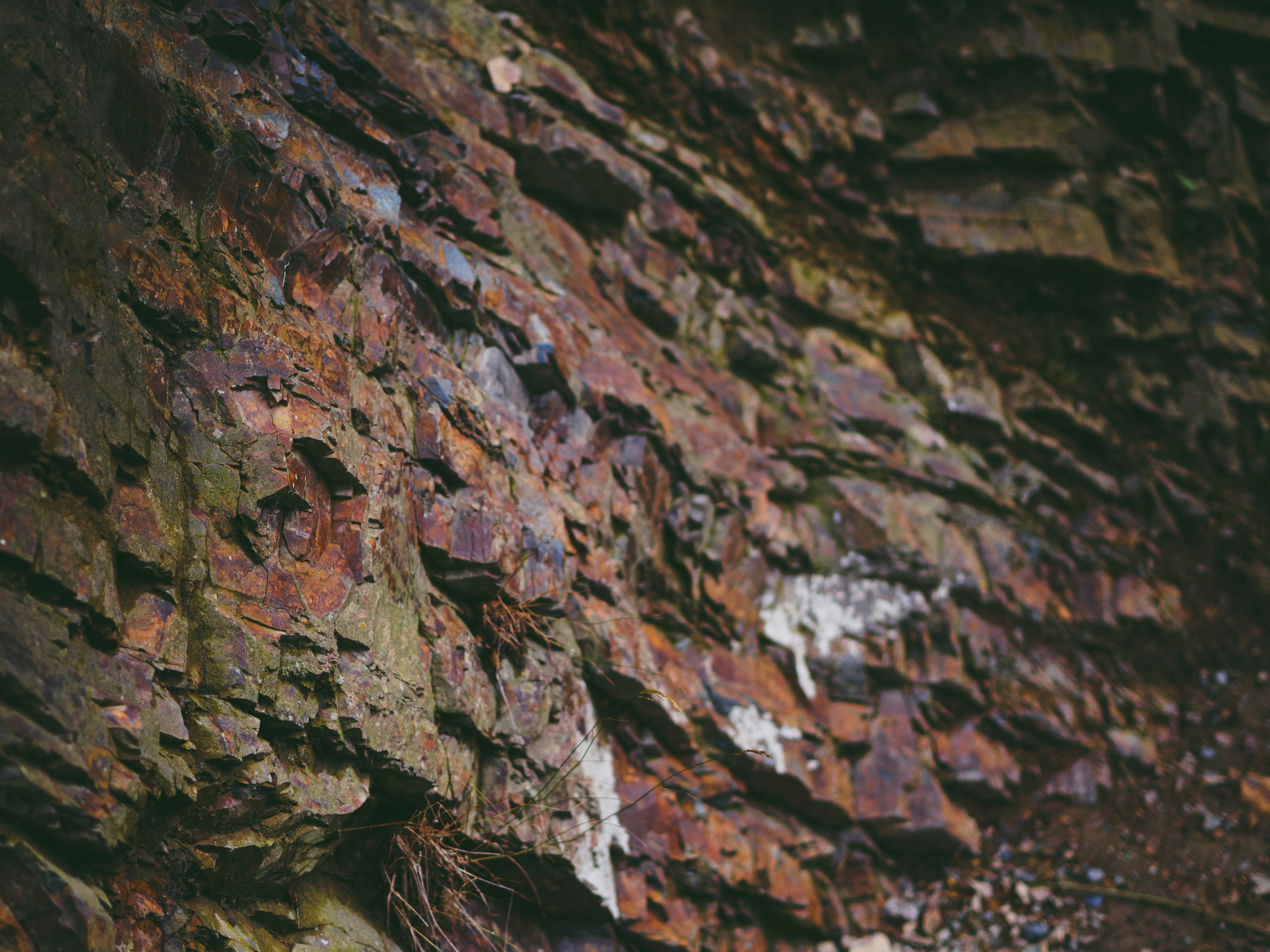 Photo by christiankrebel