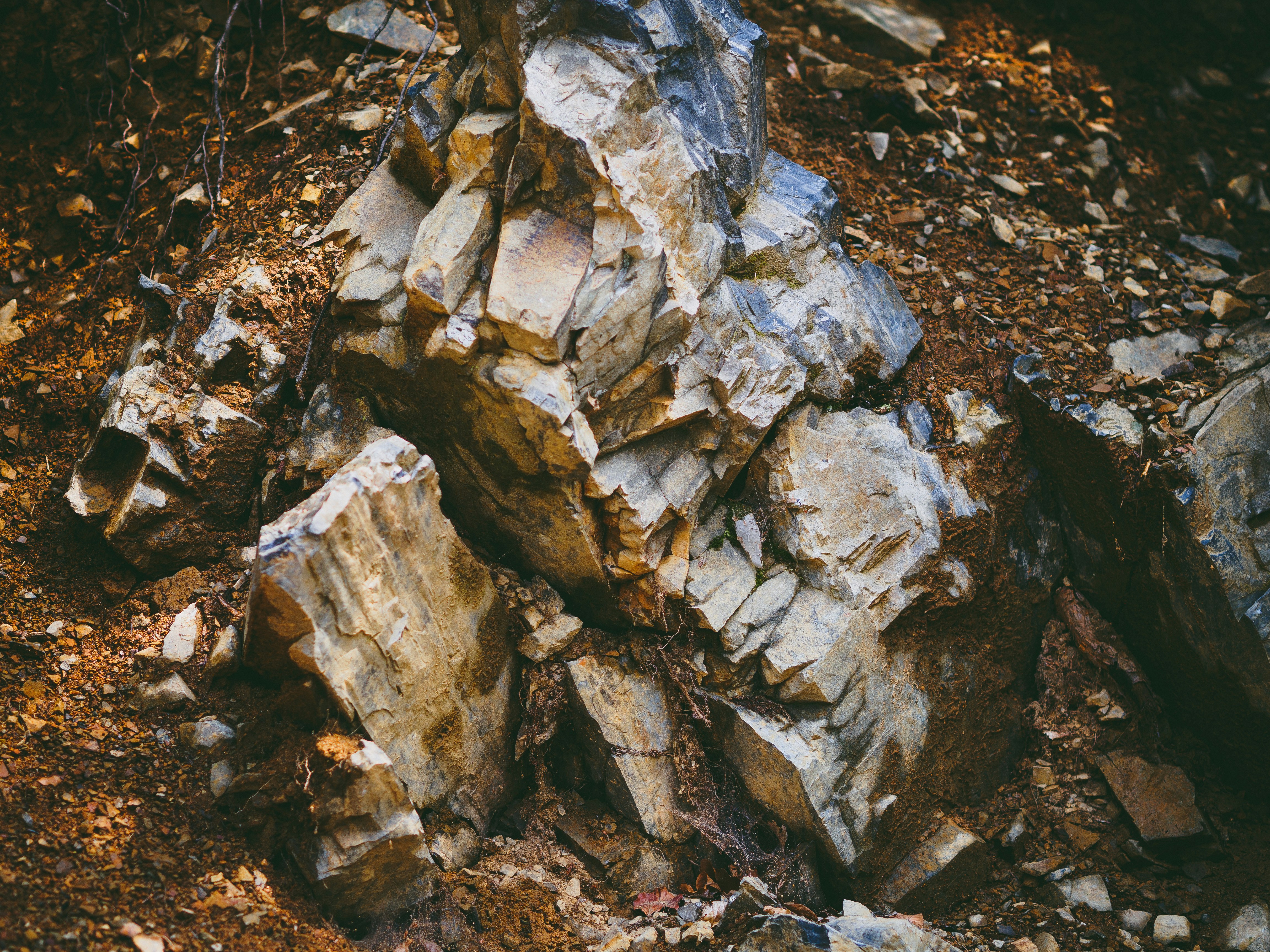 Photo by christiankrebel