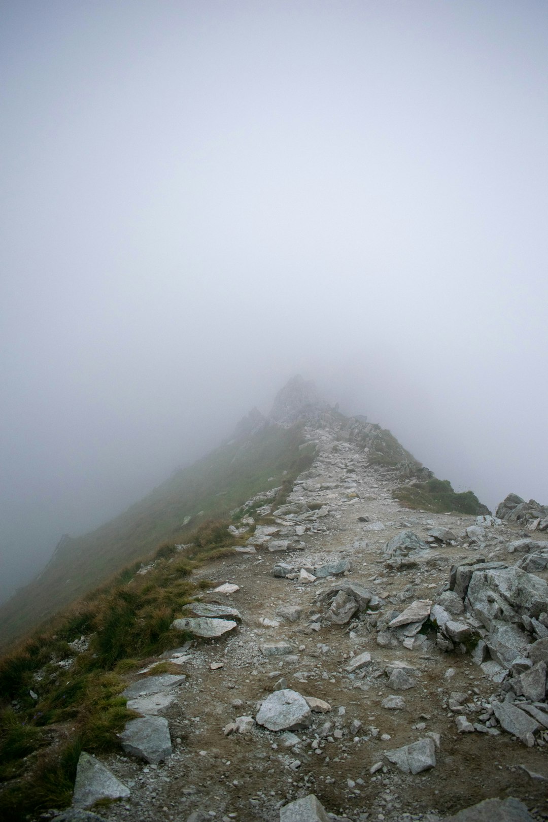 gray rocky road covered with fog