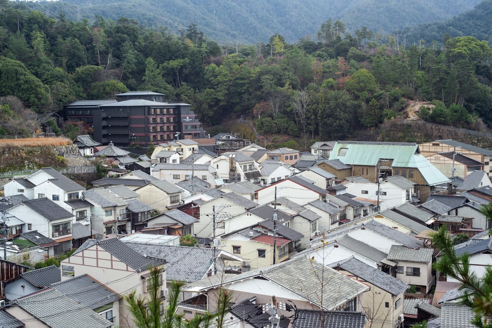 white and brown houses near green trees and mountain during daytime