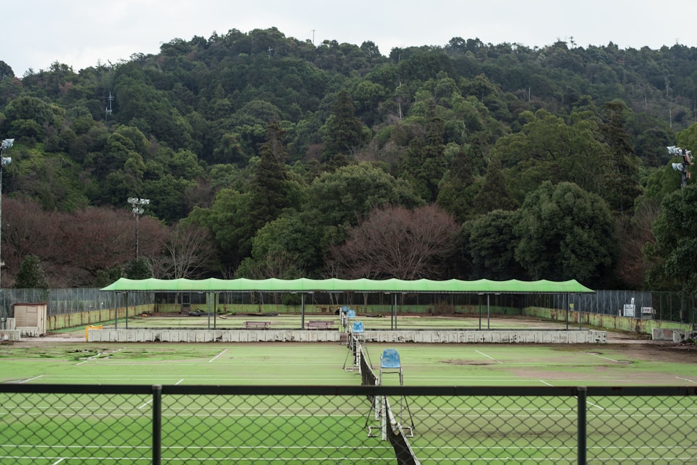 Campo de hierba verde con árboles verdes durante el día