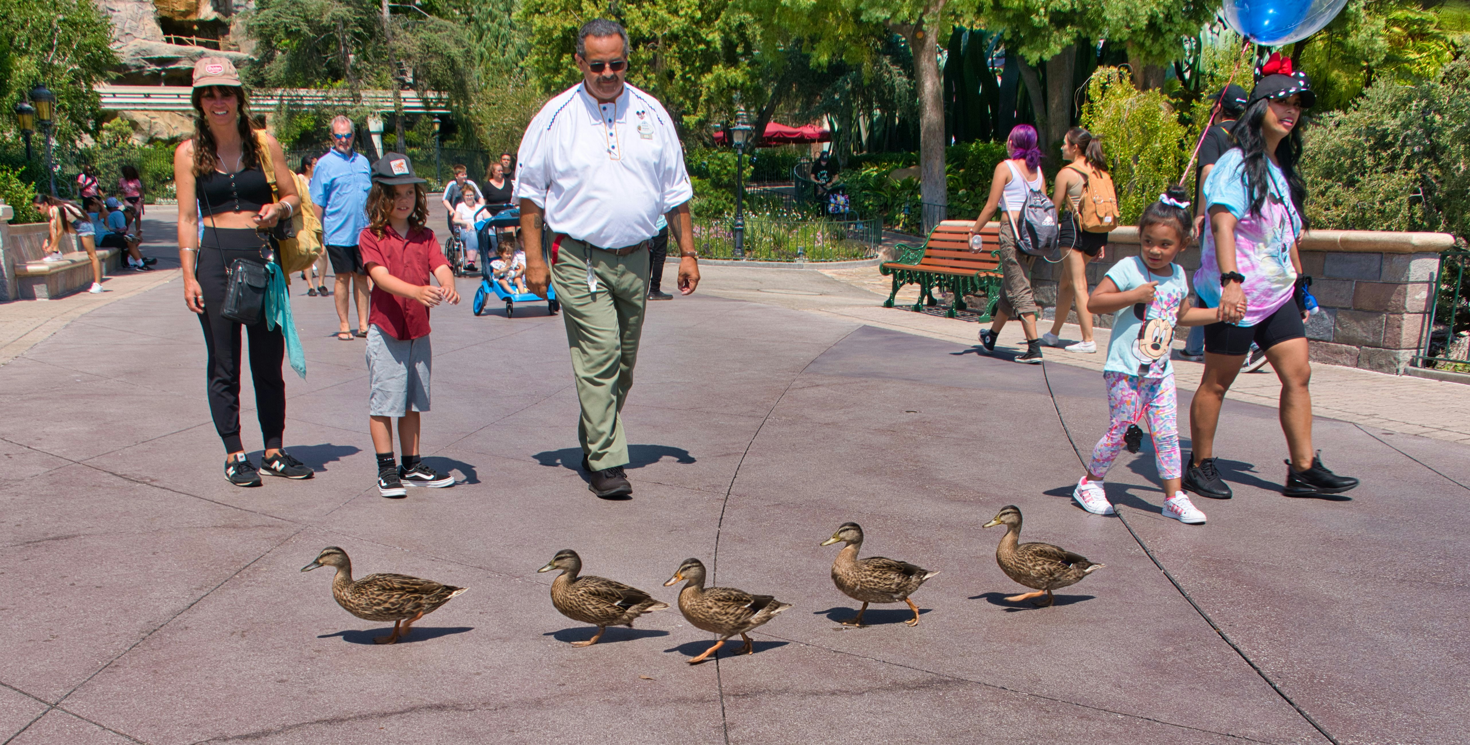 man in white dress shirt and blue denim jeans standing on gray concrete pathway during daytime
