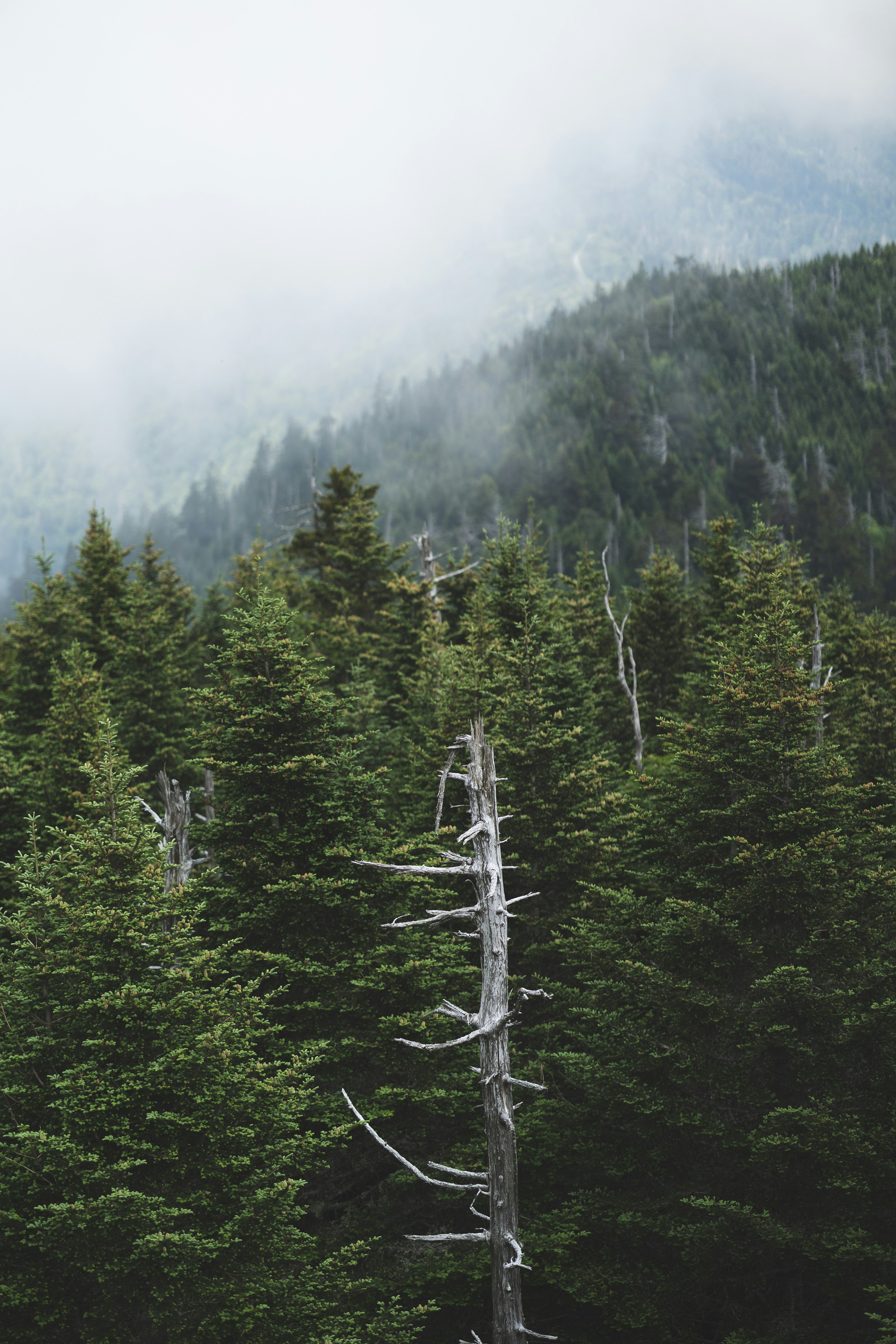 Photo by reeveswilder