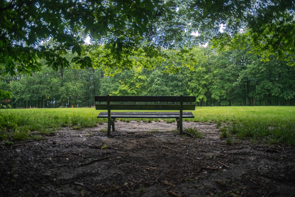 brown wooden bench on green grass field during daytime