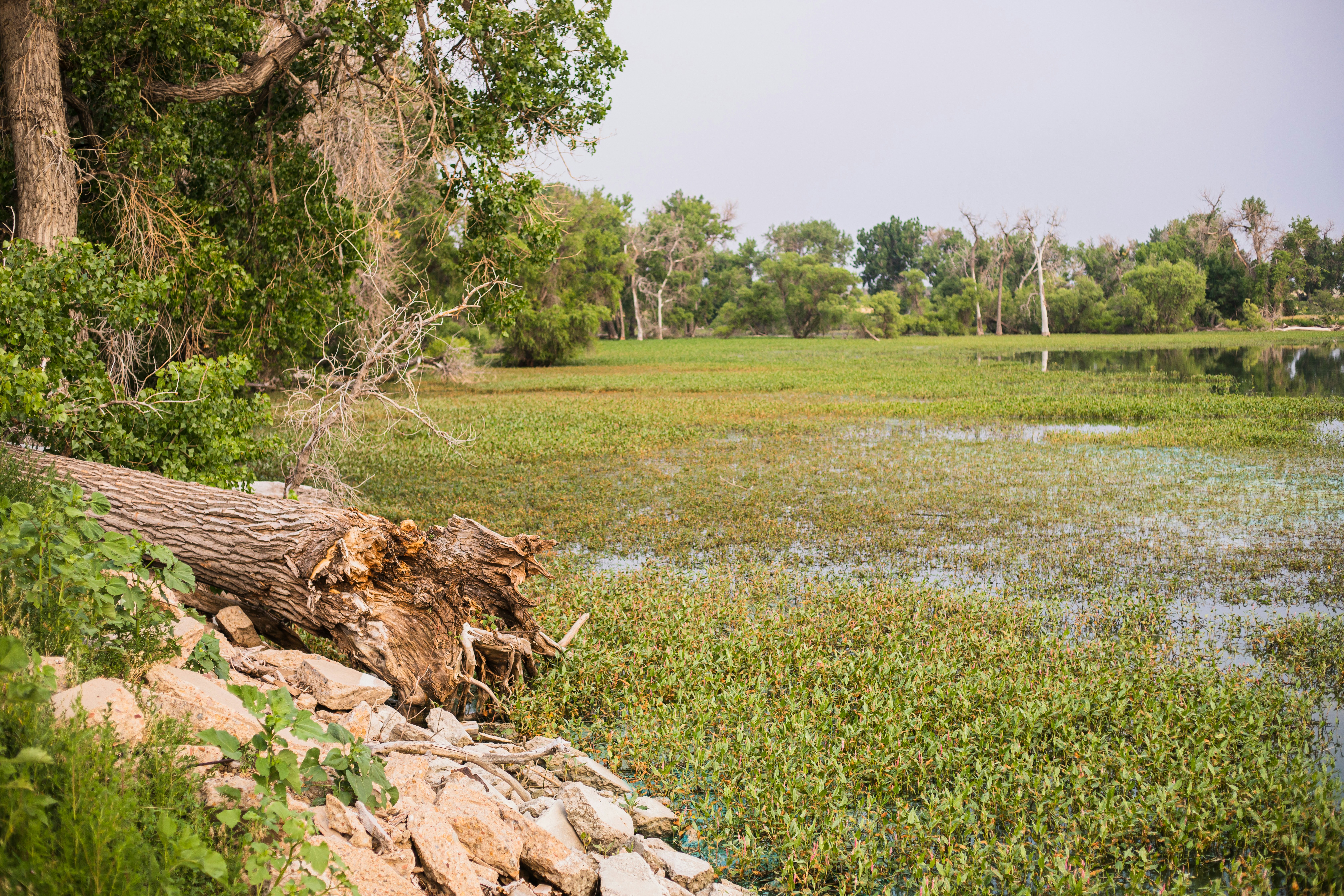 Photo by photosoflogan