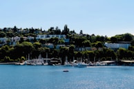 Waterfront properties with boats docked in private slips under vibrant blue skies.